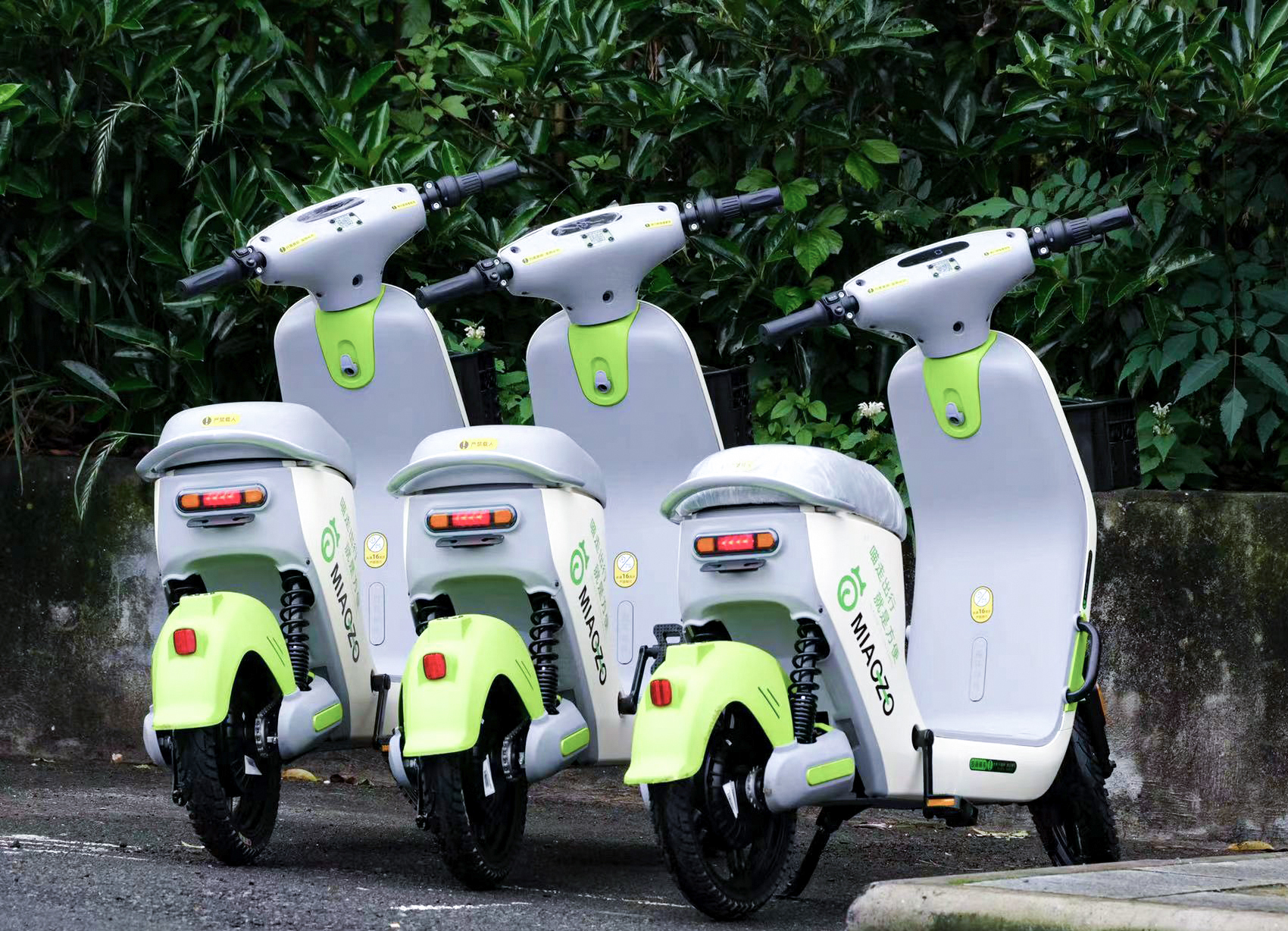 景區(qū)共享電動(dòng)車投放 景區(qū)共享電動(dòng)車投放